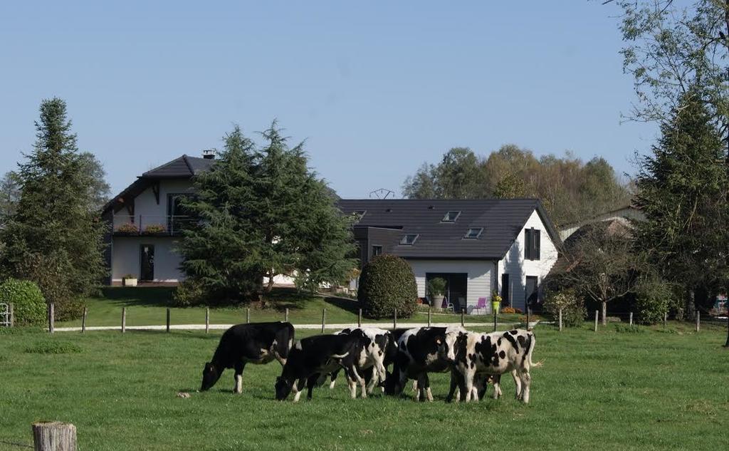 La Noue Aubain Bed and Breakfast Corbenay Exteriör bild